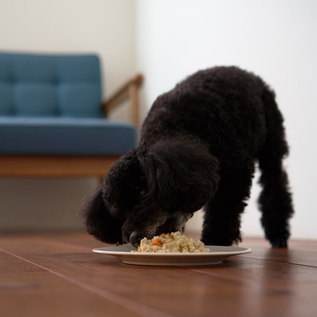 【リゾット】オージー・ビーフとお野菜のリゾット