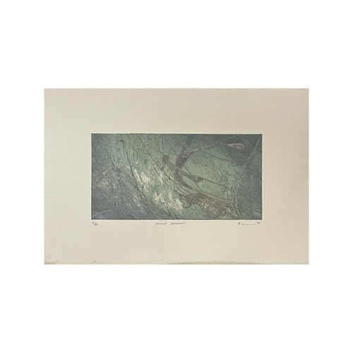 落合皎児【版画】Wind Mirror #9/12 — 1996 34(H) × 52(W)cm