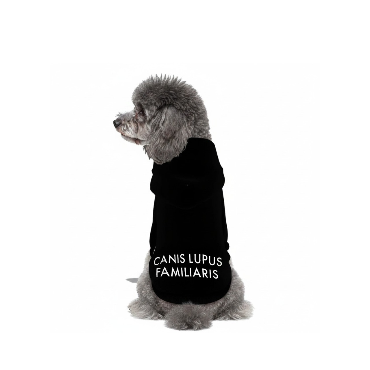 【受注生産・オリジナル】Dog Hoodie BLACK