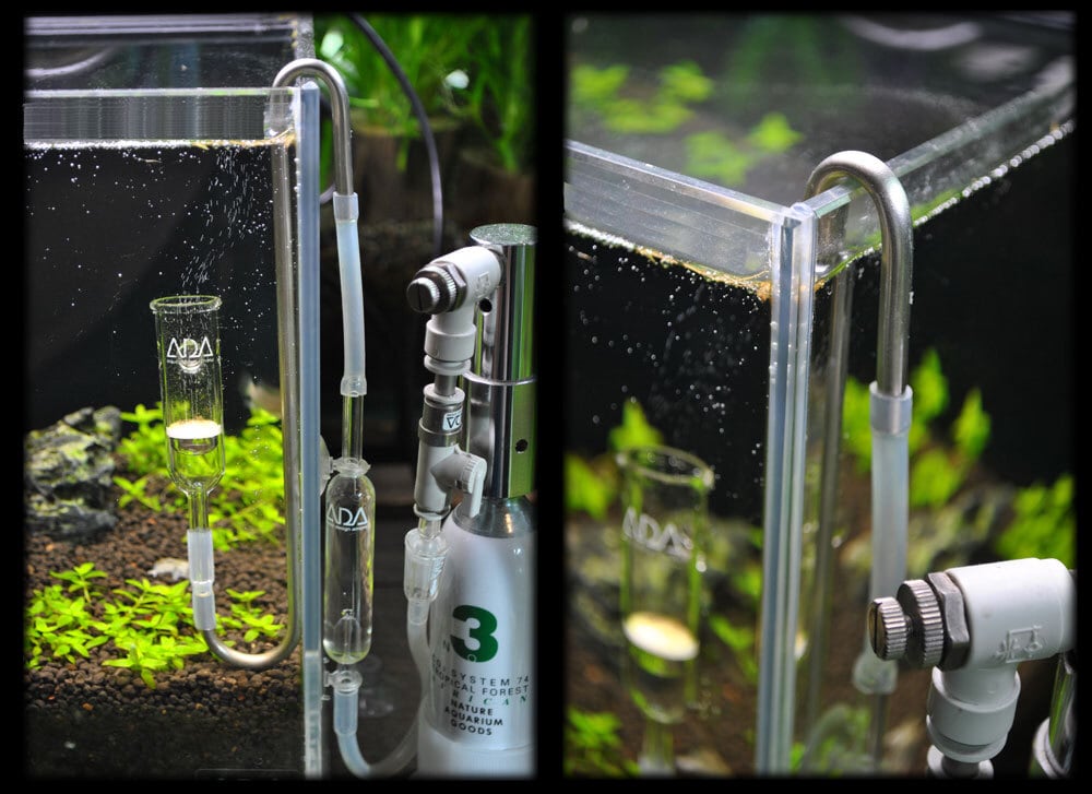 ADAパレングラス TYPE-2 CO2用 ADA パレングラスCO2用の販売 (アクア