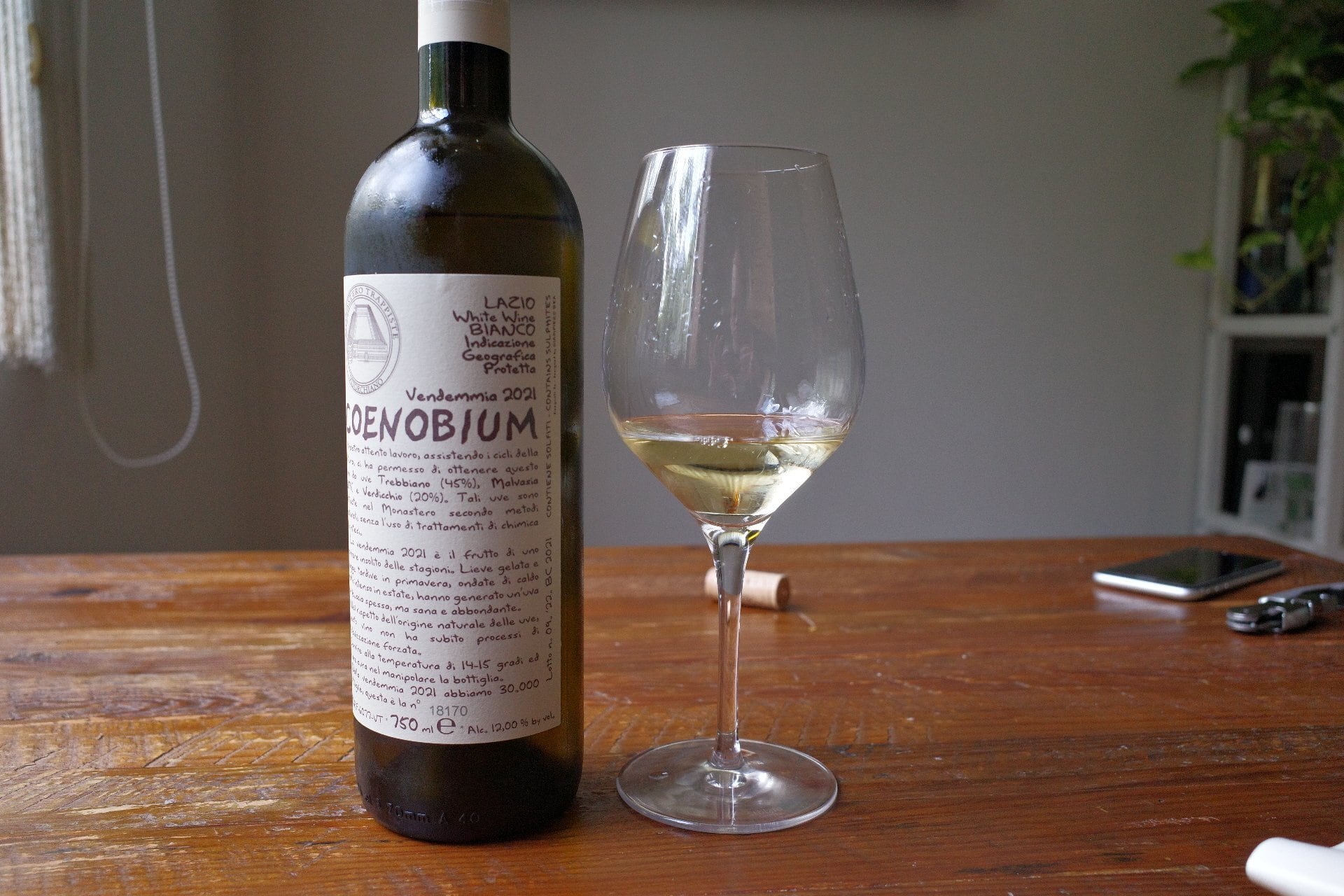 コエノビウム 2020