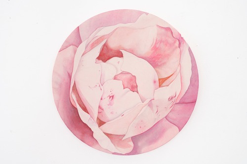 「月季花」高橋希和 作