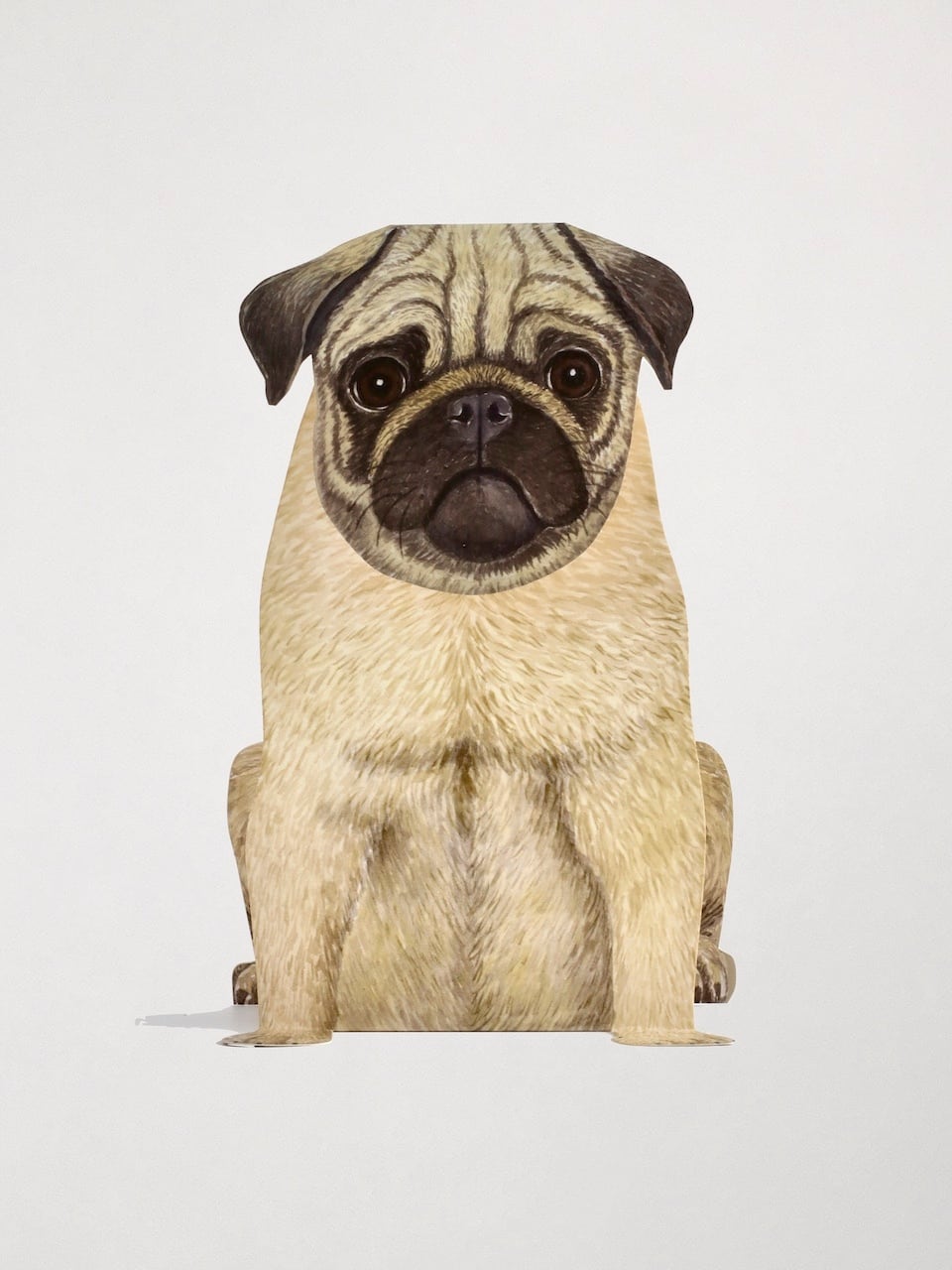 SALE】3D 立体グリーティングカード 「パグ」 / 3D Animal Folding