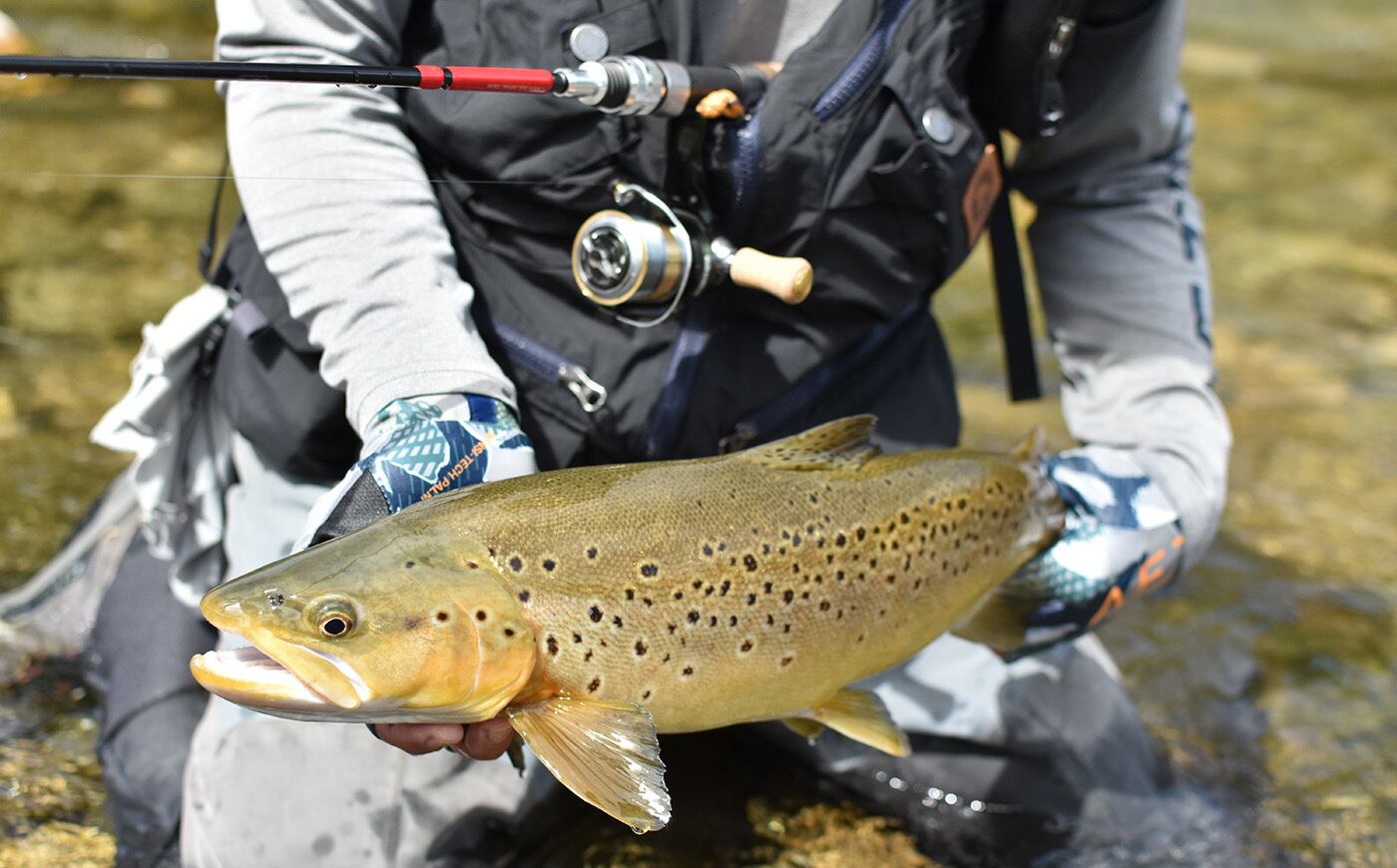 フエルコ XT511R-5S XT511R-5S | Huerco