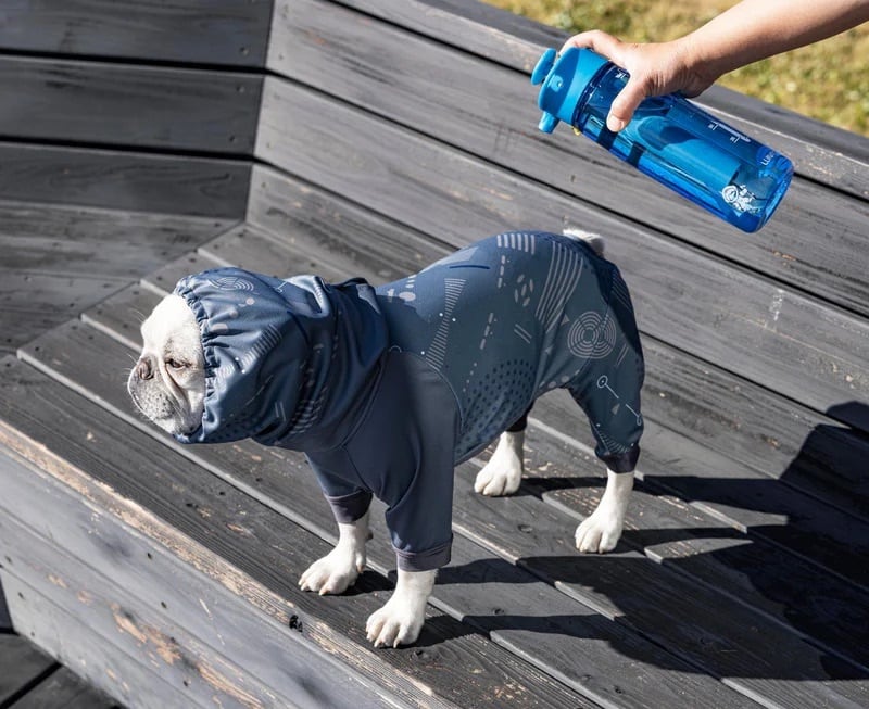 アルファアイコン ドッグガードクール 3L ALPHAICON DOG GUARD COOL 3L 青