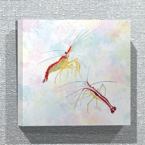 【ファブリックパネル／30×30cm】スカンクシュリンプ
