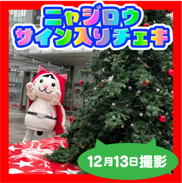 2023年12月13日撮影☆クリスマスの準備