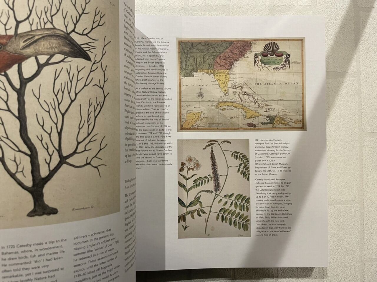 VW084】A Natural History of English Gardening: 1650–1800 /visual