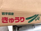 【ご自宅用に♪】岩手県産！「露地栽培きゅうり」約4kg～