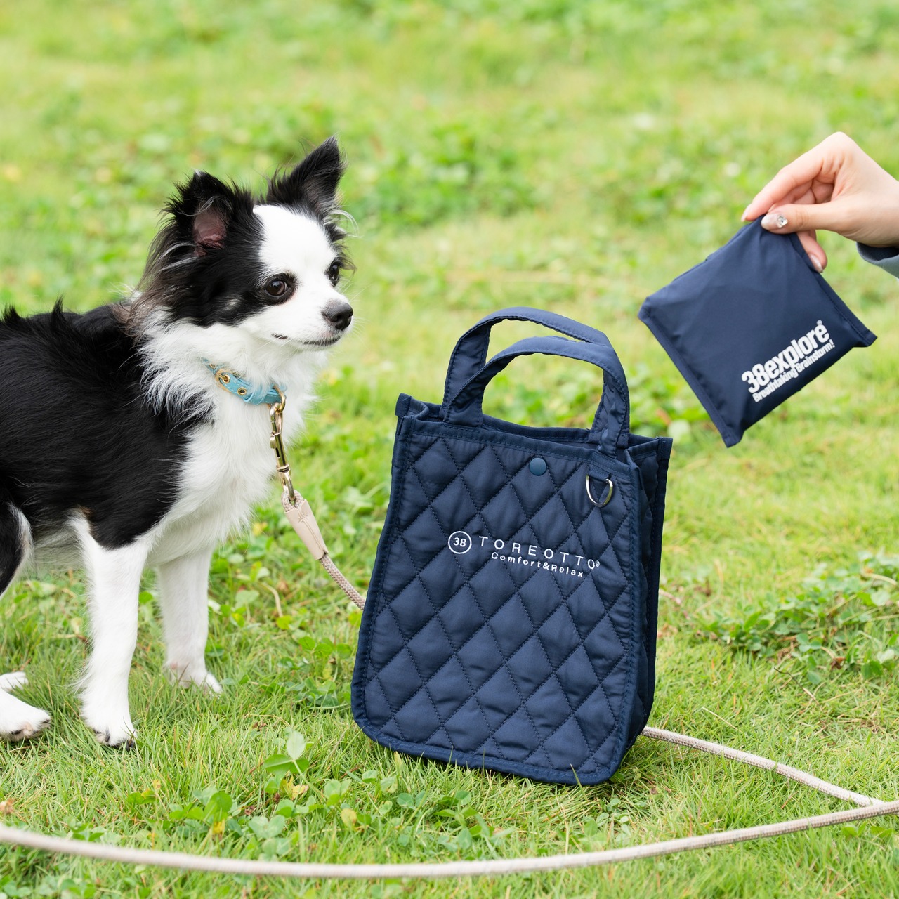 TOREOTTO38 WALKINGBAG