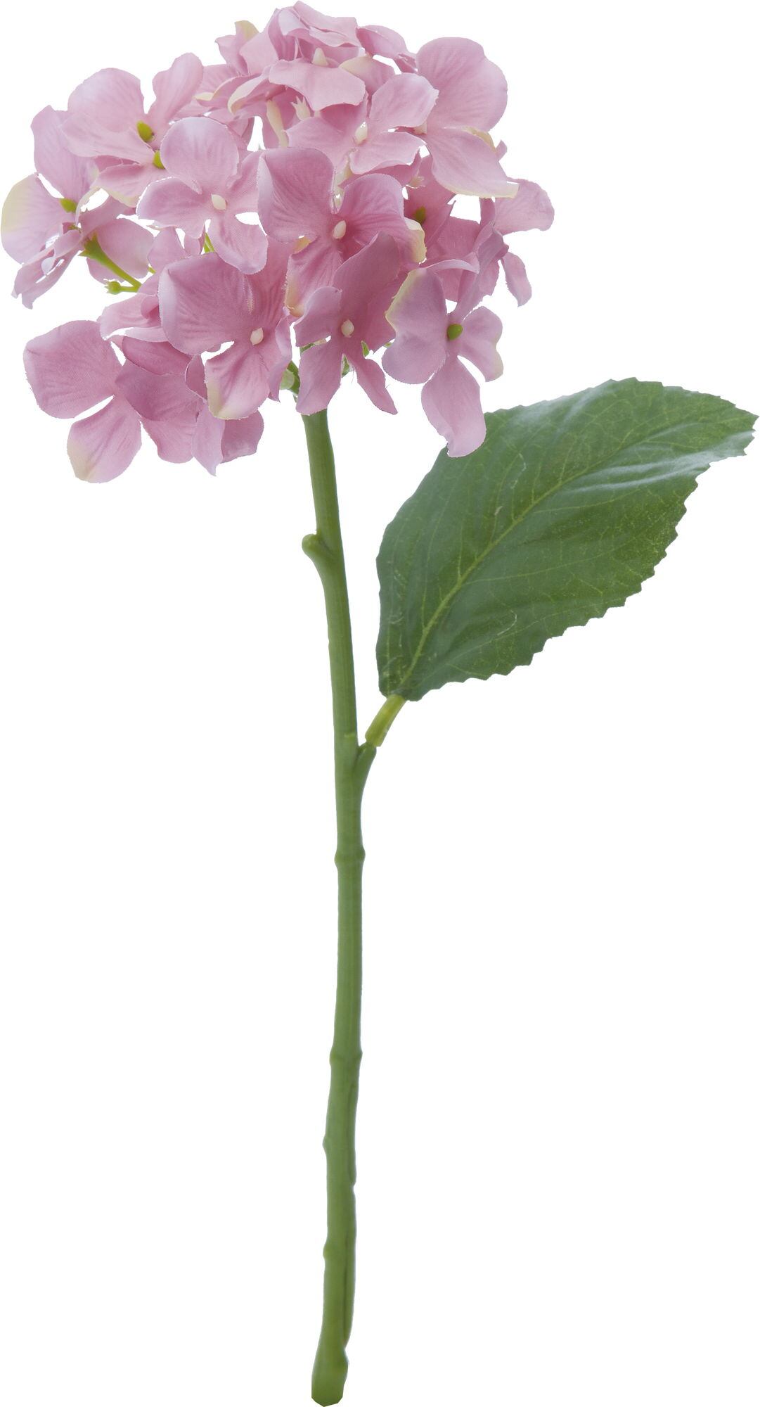 フラワーモビール(ミモザ×ツイン) / ドライフラワー ガーランド