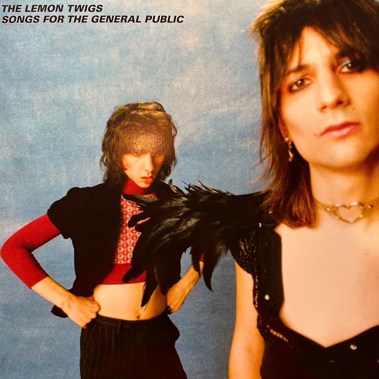 【LP】THE LEMON TWIGS/Songs For The General Public