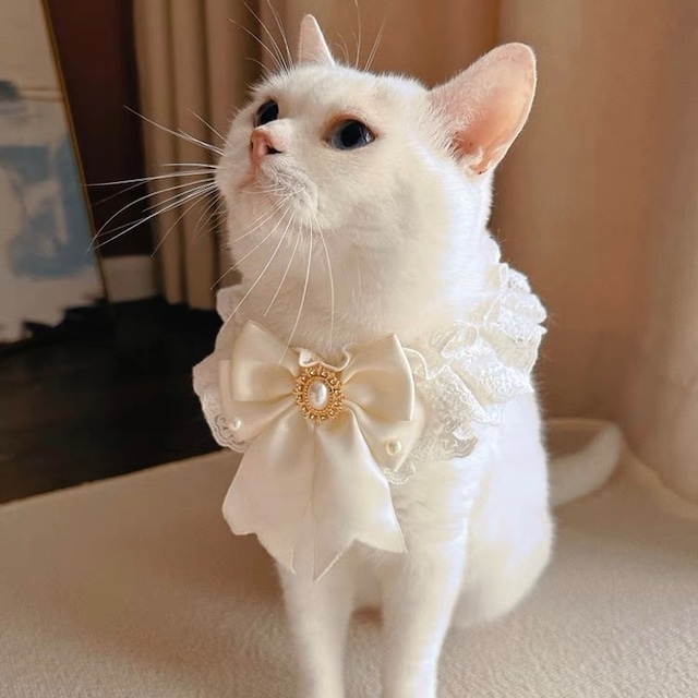 パールリボンエプロン 猫 すたい レース 猫グッズ