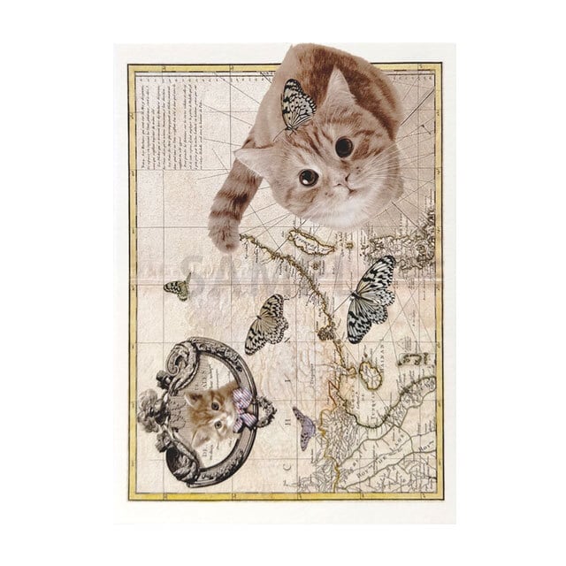 台湾ポストカード 猫 「台湾と猫」C