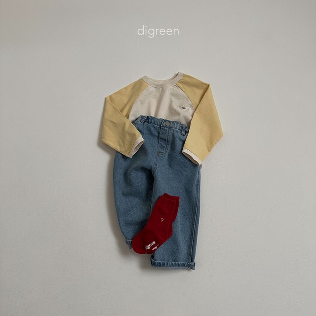 〘予約〙digreen / socks_heart