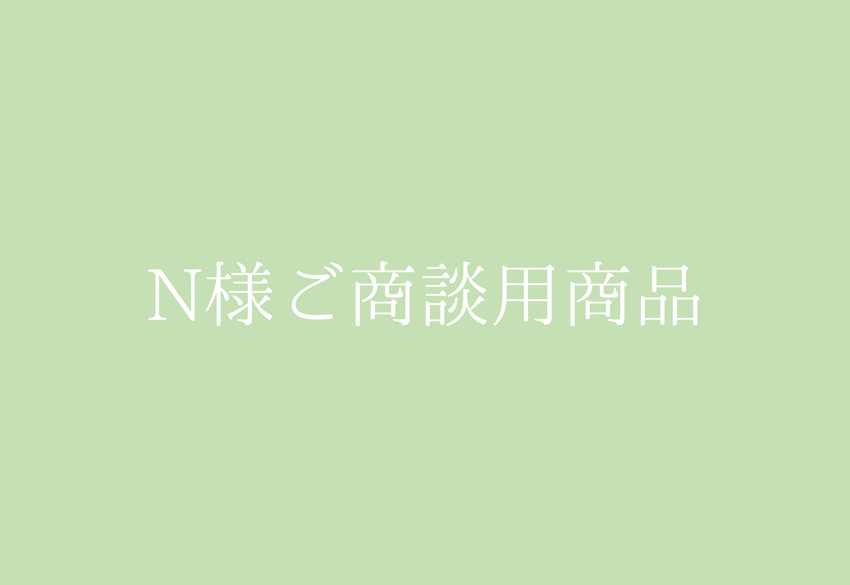 ※N様ご商談用※