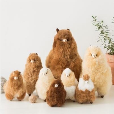 アルパカの手作りインテリア アルパカの手作りインテリア