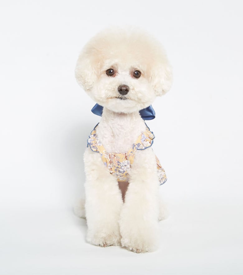 【SALE】ロココワンピース S ~ XL 4color  /  犬服 犬の服 犬 ワンピース ドッグウェア 小型犬 中型犬 ペット洋服　onepiece11