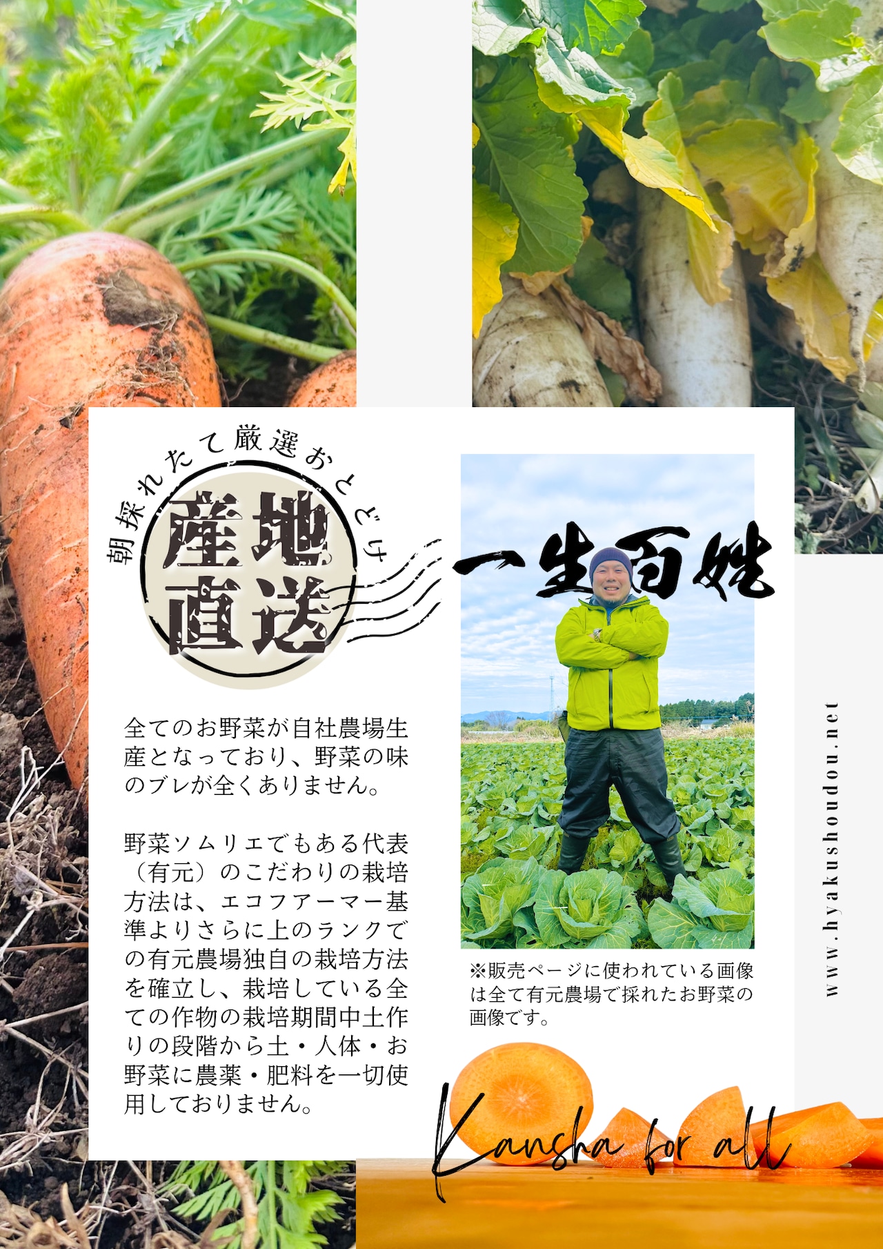 【有元農場】５種おひとり様用　『極・お野菜』ゲンセン霧島星６つ 送料込み(北海道・沖縄＋1000円)