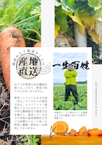 【有元農場】５種おひとり様用　『極・お野菜』ゲンセン霧島星６つ 送料込み(北海道・沖縄＋1000円)