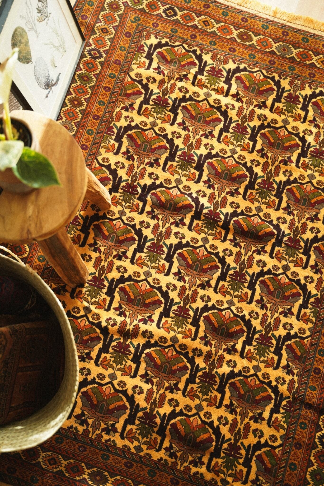 1138-Vintage Maliki Baluch rug