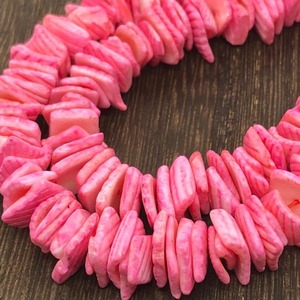 【10g】天然シェル/貝/染色ビーズ/スペーサーb