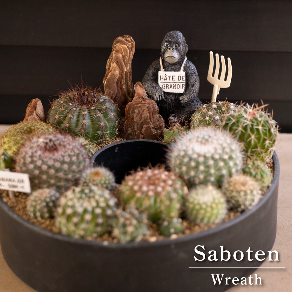 サボテン リース 寄せ植え 箱庭 多肉植物 ミニ 観葉植物 プレゼント