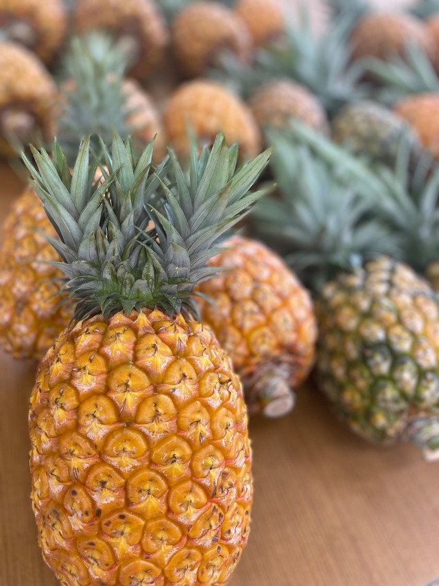 沖縄県産　パイナップル　ゴールドバレル１玉入り