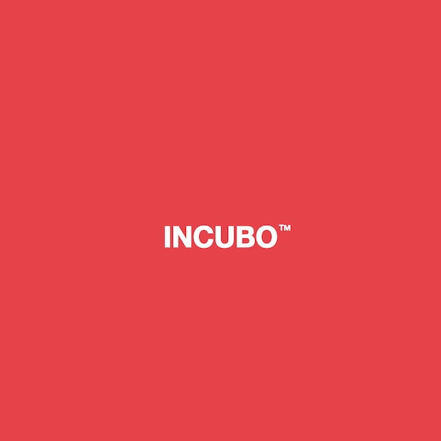 Surfing / INCUBO™（500 Ltd LP）