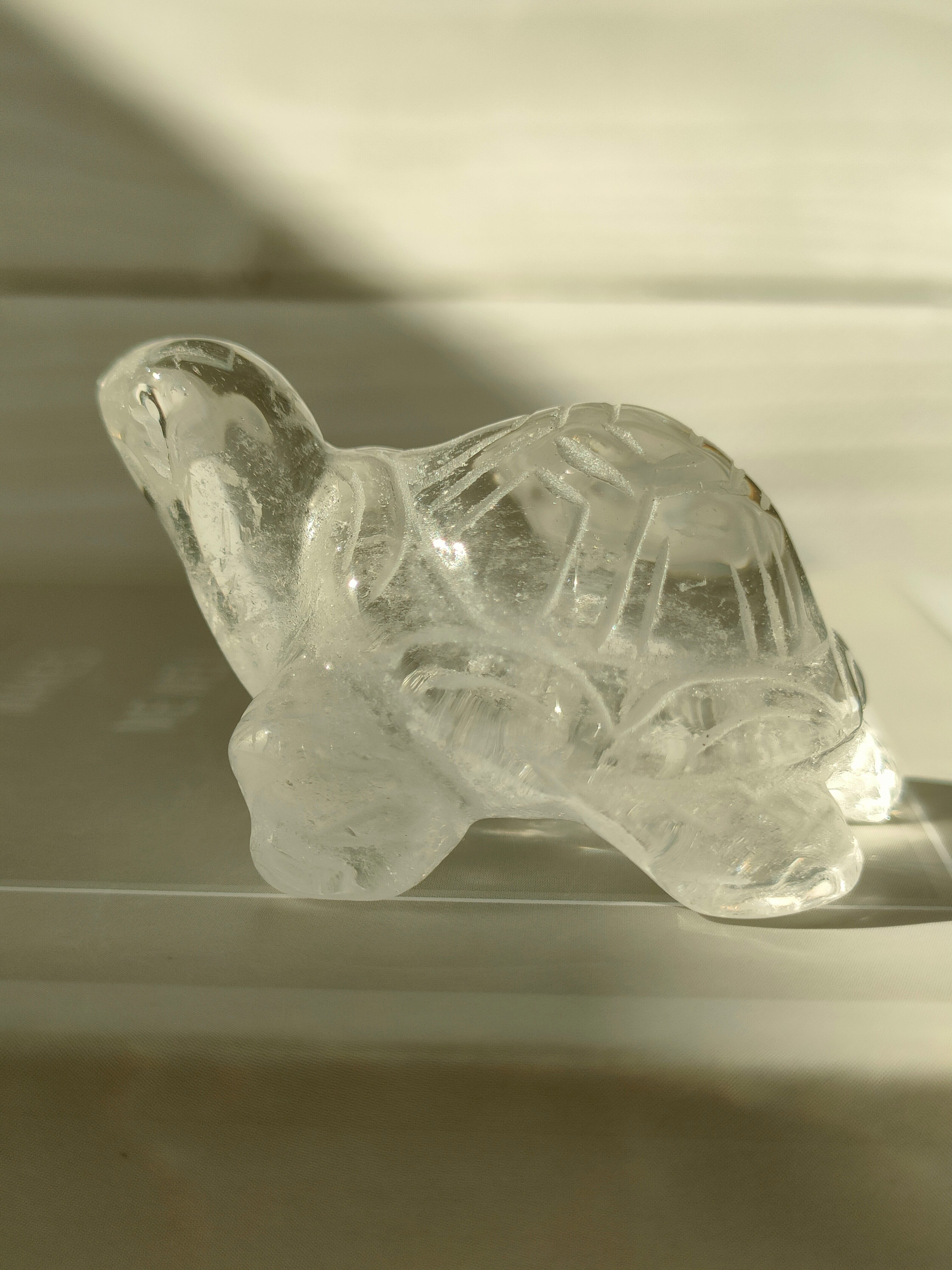 クォーツ 亀さん