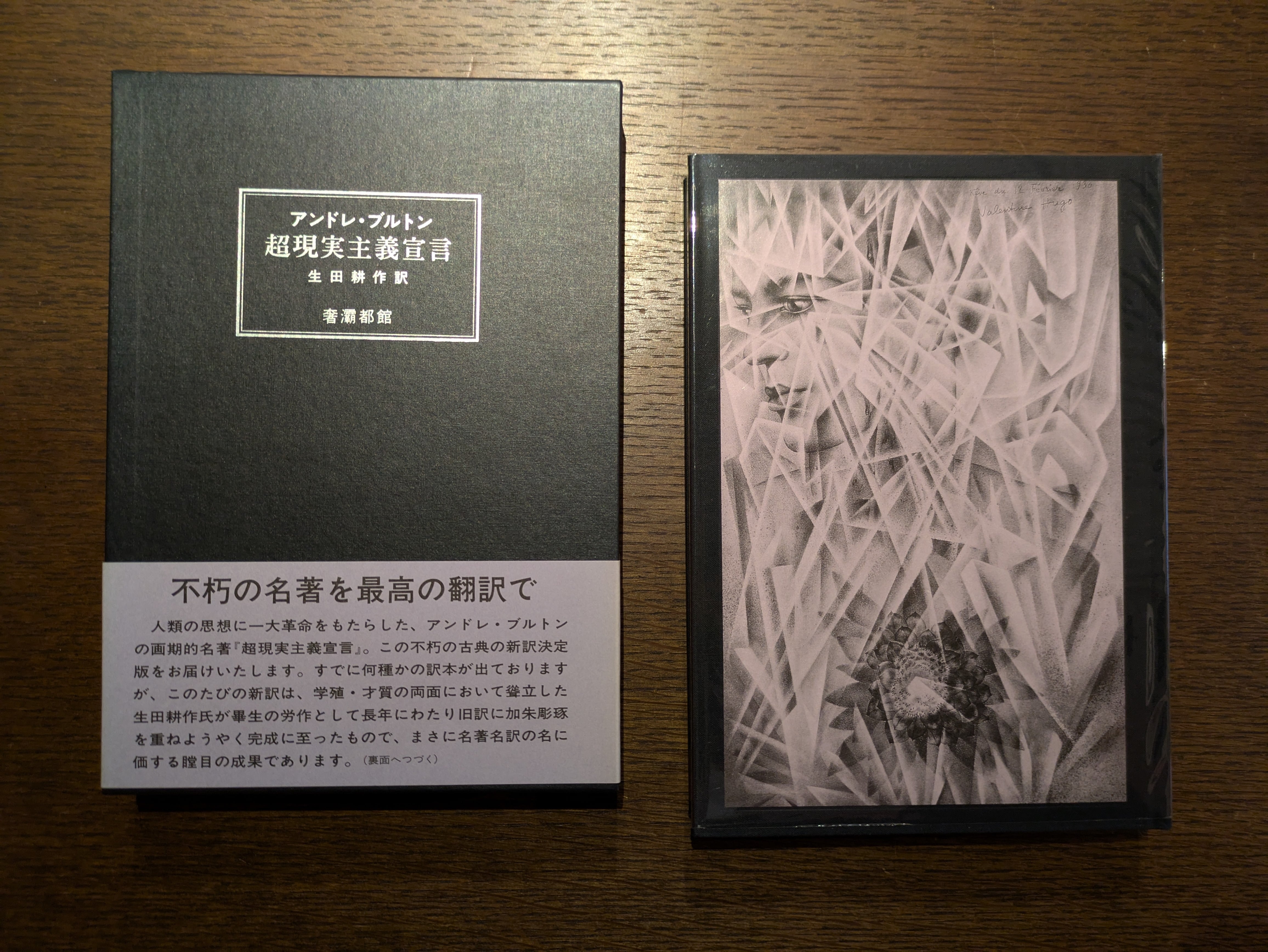 山本六三画集 エロス・タナトス」 1996年 奢灞都館 | 午睡書架