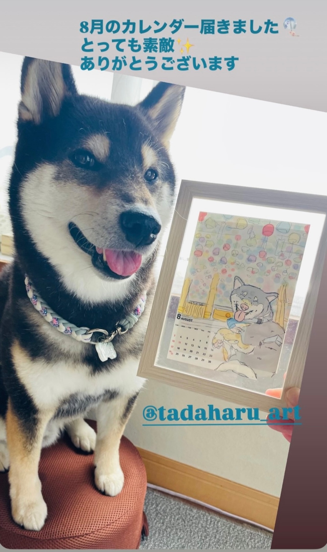 「うちの子たちの贈り物」tadaharu atelier 定期便