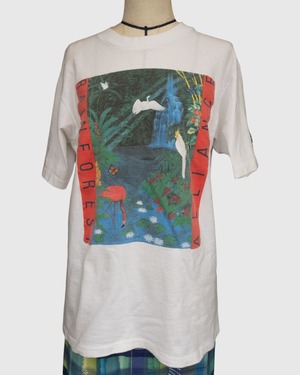【古着】 ”Rainforest Alliance” 熱帯雨林保護 アートT