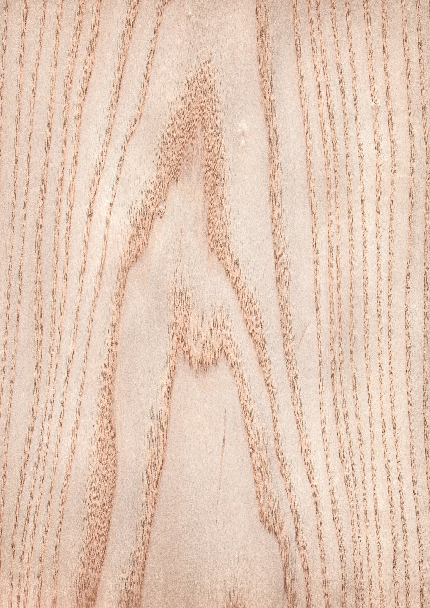 天然木ツキ板シート　ホワイトアッシュ　薄色系