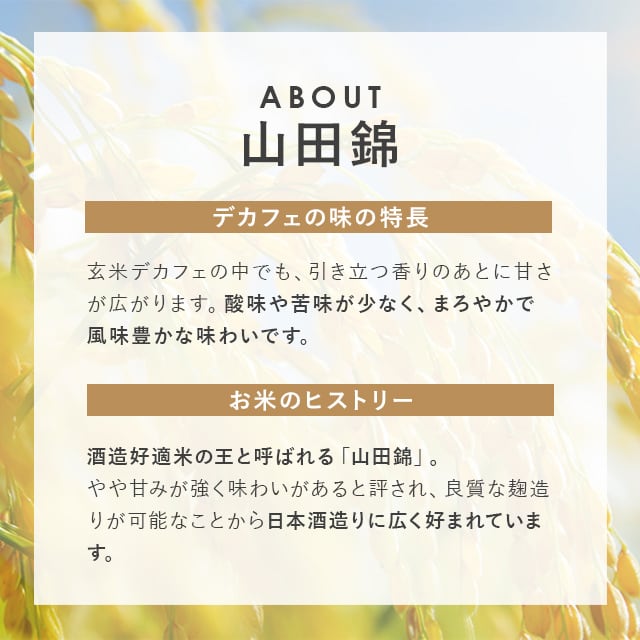 玄米デカフェ / 山田錦【ティーパック】 | Atelier GENMAI DECAF