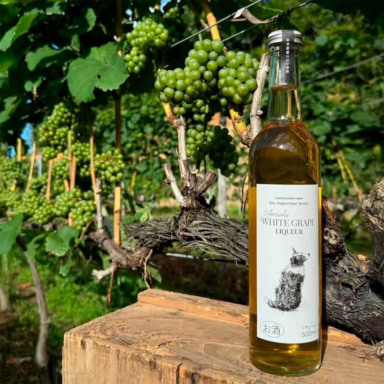 ミュラートゥルガウ リキュール 果汁50%