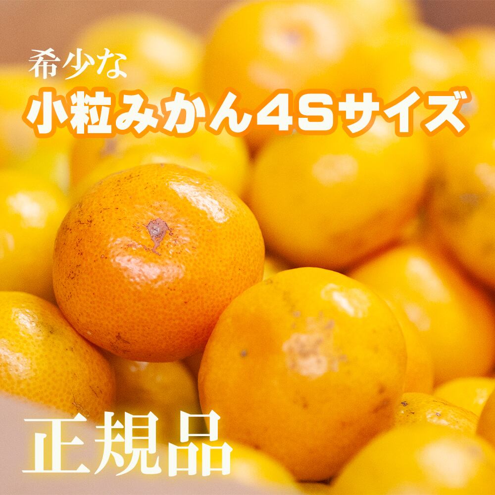 蔵出しみかん通販｜昔ながらのみかん 鈴木農園