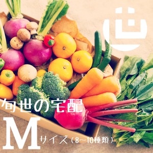 《毎週》お届け！旬のお野菜・果物セット(M)