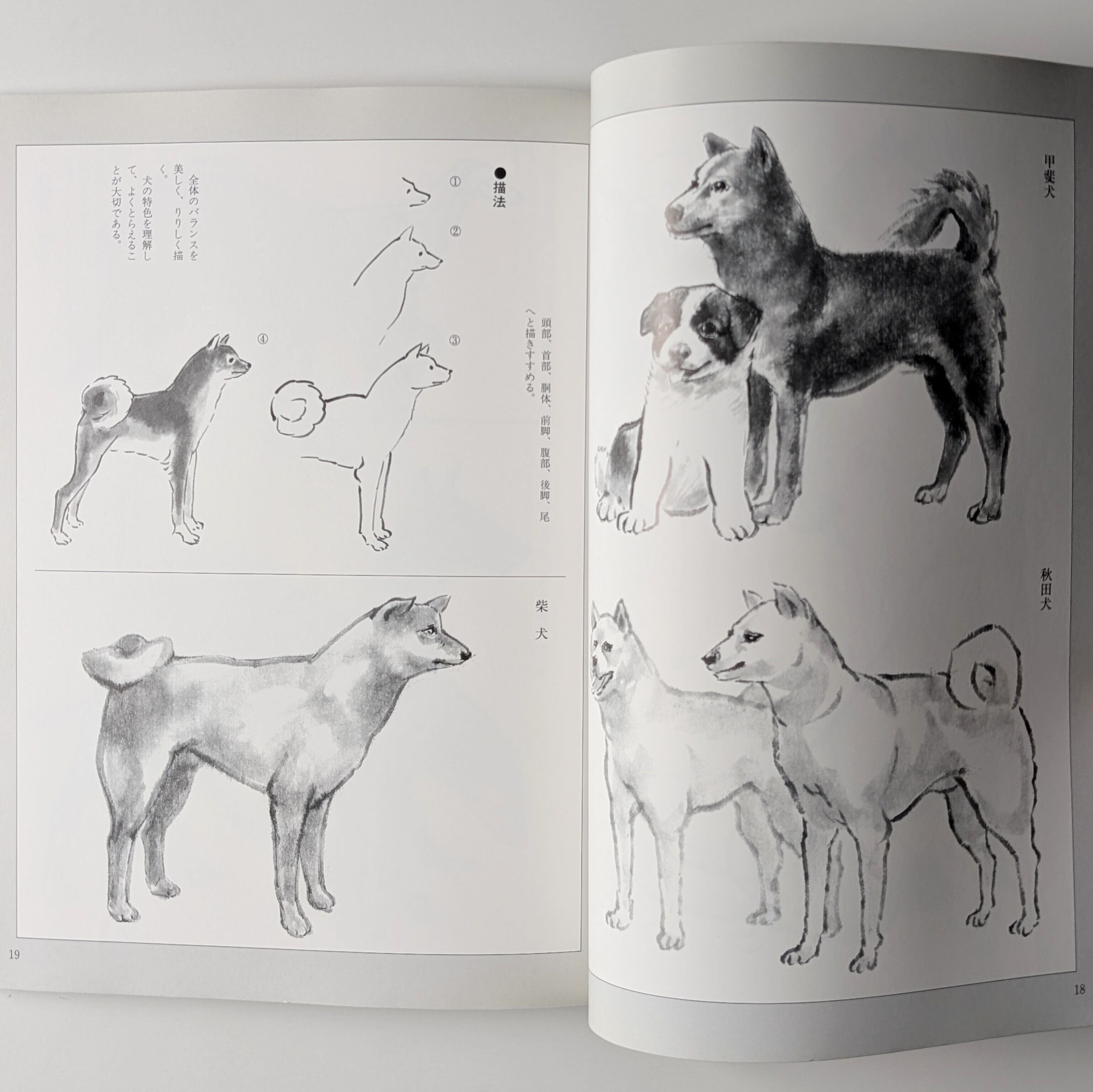 犬の描法 | イヌグラシ