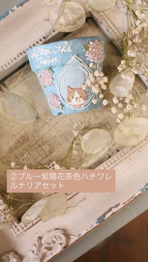②ブルー紫陽花茶色 ハチワレ × ルナリアガーランド