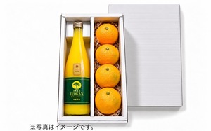 冬限定ギフト「伊予柑」2品詰め合わせ