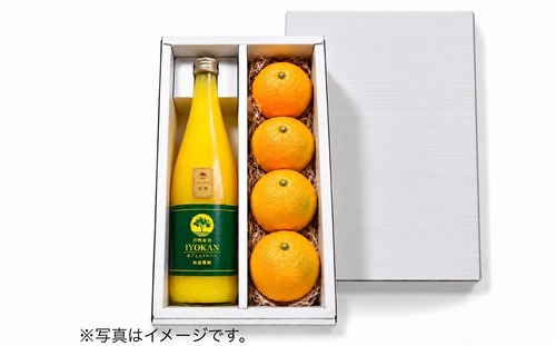 冬限定ギフト「伊予柑」2品詰め合わせ