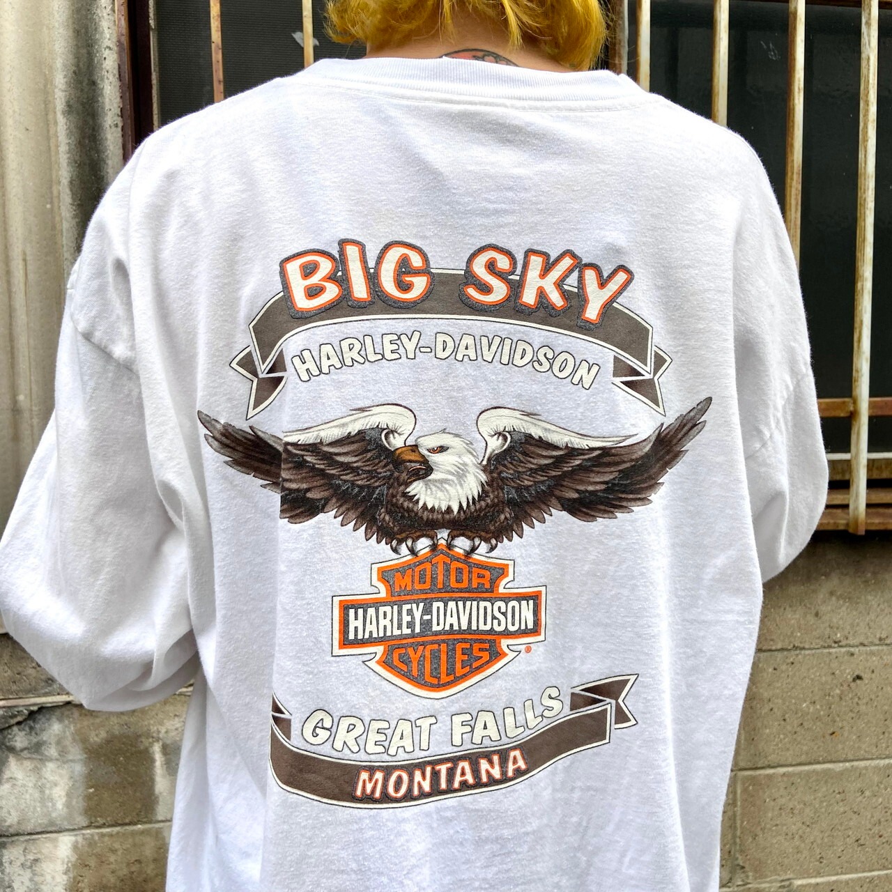 Harley-Davidson ハーレーダビッドソン ファイヤー柄 イーグル 両面 