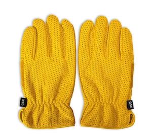 GOODSPEED equipment " Punching Gloves "