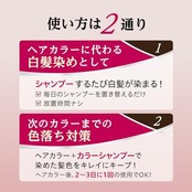 サロンドプロ カラーシャンプー アッシュブラウン 300ml