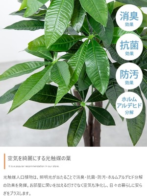 観葉植物 オリーブ フェイクグリーン 光触媒人工観葉植物 高さ85cm