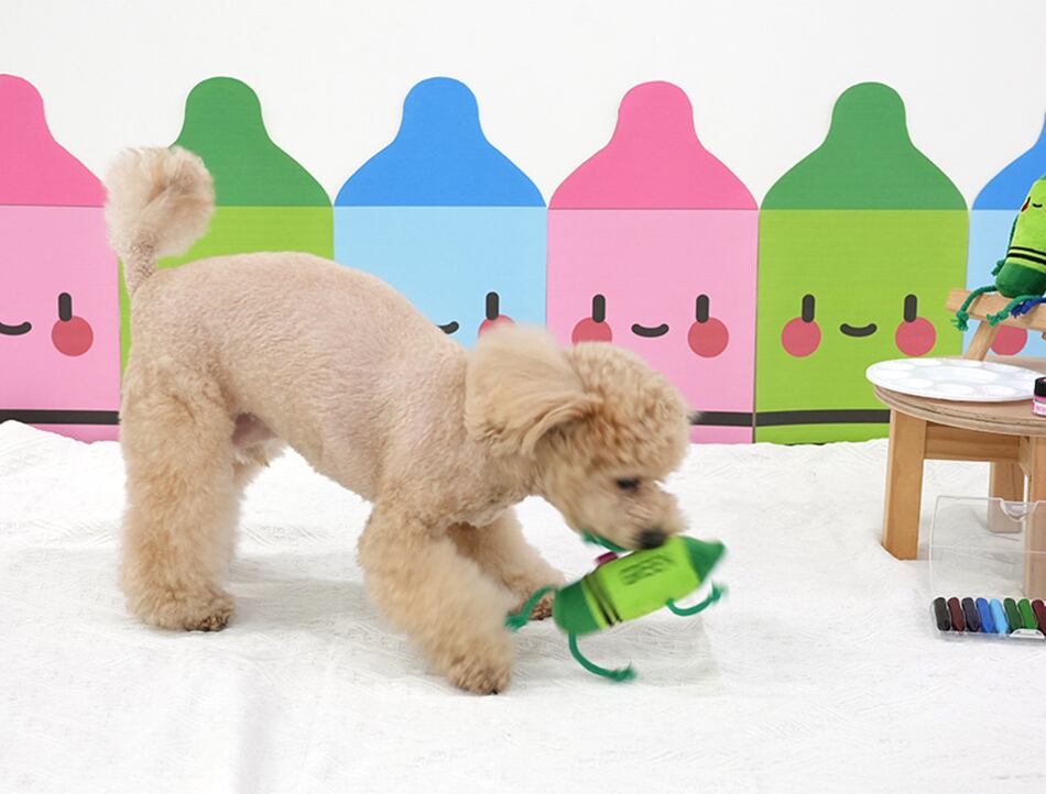 crayon toy / ペット 犬 おもちゃ 噛む 音が鳴る ロープ 知育玩具 鳴き笛入り 可愛い わんちゃん おもちゃ ストレス解消 韓国 ペット用品 toy18