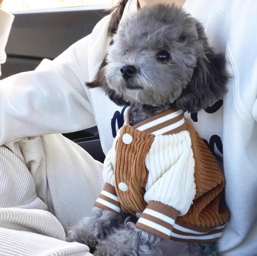 即納】 コーデュロイスタジャン ブラウン 犬服 犬の服 小型犬 猫 春 秋