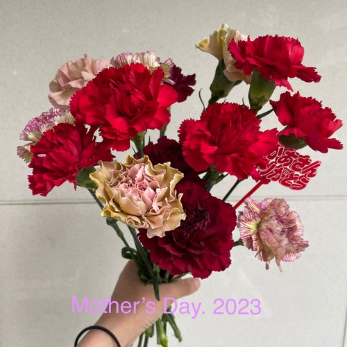 2023 遅れてごめんね母の日のお花 M　bouquet  or arrangement