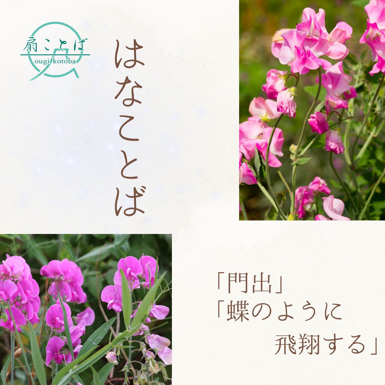 スイートピー様専用です。 スイートピー様ご専用（お取り置き